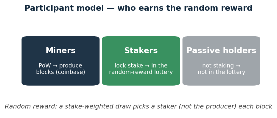 Participant model: miners, active users, passive holders